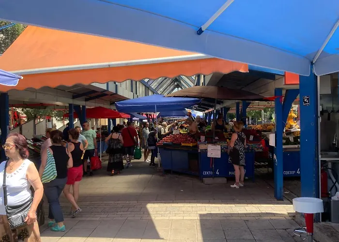 Lejlighed 113 In With 2br And 2 Full Bath Sofia